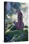 Forest, Eurasian Lynx, Lynx Lynx, Mother Animal, Watchfulness, Young Animal, Sitting, Back View-Ronald Wittek-Stretched Canvas