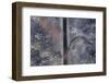 Forest Exit-Jure Kravanja-Framed Photographic Print