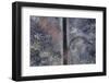 Forest Exit-Jure Kravanja-Framed Photographic Print