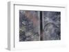 Forest Exit-Jure Kravanja-Framed Photographic Print