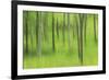 Forest Expression-Wild Wonders of Europe-Framed Giclee Print