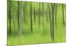 Forest Expression-Wild Wonders of Europe-Mounted Giclee Print