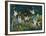 Forest Fairies-Bill Bell-Framed Giclee Print