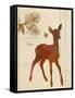 Forest Fawn-Z Studio-Framed Stretched Canvas