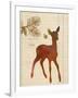 Forest Fawn-Z Studio-Framed Art Print