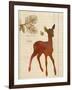 Forest Fawn-Z Studio-Framed Art Print