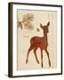 Forest Fawn-Z Studio-Framed Art Print