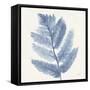 Forest Ferns I Blue-Albena Hristova-Framed Stretched Canvas