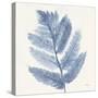 Forest Ferns I Blue-Albena Hristova-Stretched Canvas