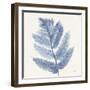 Forest Ferns I Blue-Albena Hristova-Framed Art Print