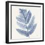 Forest Ferns I Blue-Albena Hristova-Framed Art Print