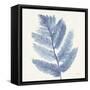 Forest Ferns I Blue-Albena Hristova-Framed Stretched Canvas