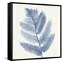 Forest Ferns I Blue-Albena Hristova-Framed Stretched Canvas