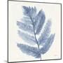 Forest Ferns I Blue-Albena Hristova-Mounted Art Print