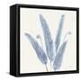 Forest Ferns II v2 Blue-Albena Hristova-Framed Stretched Canvas