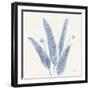 Forest Ferns II v2 Blue-Albena Hristova-Framed Art Print