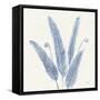 Forest Ferns II v2 Blue-Albena Hristova-Framed Stretched Canvas