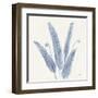 Forest Ferns II v2 Blue-Albena Hristova-Framed Art Print