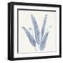 Forest Ferns II v2 Blue-Albena Hristova-Framed Art Print