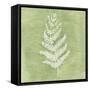 Forest Ferns II-Vanna Lam-Framed Stretched Canvas