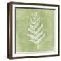 Forest Ferns II-Vanna Lam-Framed Art Print