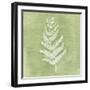 Forest Ferns II-Vanna Lam-Framed Art Print