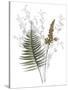Forest Finds - Enchant-Collezione Botanica-Stretched Canvas