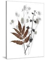 Forest Finds - Harvest-Collezione Botanica-Stretched Canvas