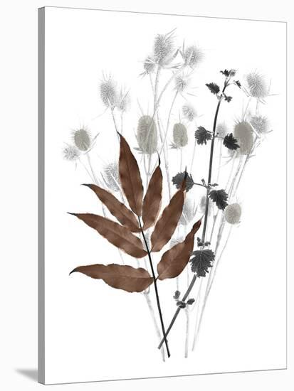 Forest Finds - Harvest-Collezione Botanica-Stretched Canvas