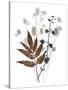 Forest Finds - Harvest-Collezione Botanica-Stretched Canvas