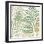 Forest Finds VII-Beth Grove-Framed Art Print