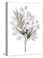 Forest Finds - Whimsical-Collezione Botanica-Stretched Canvas