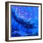 Forest Fire, 2021 (digital)-Scott J. Davis-Framed Giclee Print