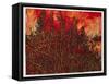 Forest Fire, 2022 (Watercolour on Arches Paper)-Graham Dean-Framed Stretched Canvas