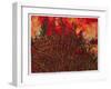 Forest Fire, 2022 (Watercolour on Arches Paper)-Graham Dean-Framed Giclee Print