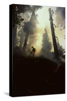 Forest Fire, Sequoia and Kings Canyon National Park, California, USA-Gerry Reynolds-Stretched Canvas