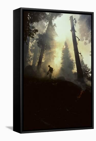 Forest Fire, Sequoia and Kings Canyon National Park, California, USA-Gerry Reynolds-Framed Stretched Canvas