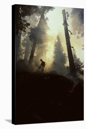 Forest Fire, Sequoia and Kings Canyon National Park, California, USA-Gerry Reynolds-Stretched Canvas