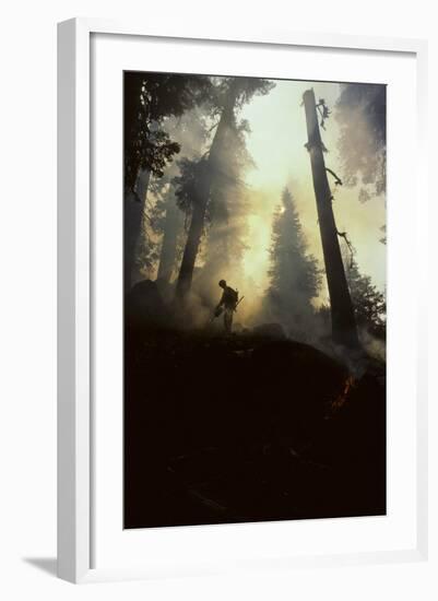 Forest Fire, Sequoia and Kings Canyon National Park, California, USA-Gerry Reynolds-Framed Photographic Print