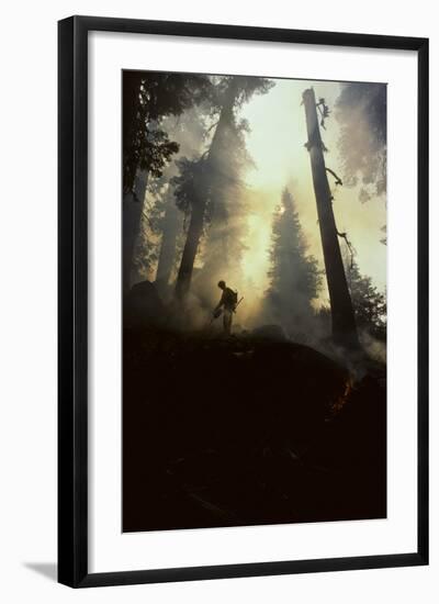 Forest Fire, Sequoia and Kings Canyon National Park, California, USA-Gerry Reynolds-Framed Photographic Print