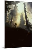 Forest Fire, Sequoia and Kings Canyon National Park, California, USA-Gerry Reynolds-Mounted Premium Photographic Print