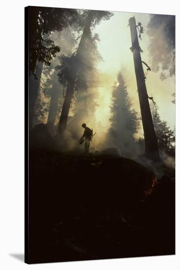 Forest Fire, Sequoia and Kings Canyon National Park, California, USA-Gerry Reynolds-Stretched Canvas