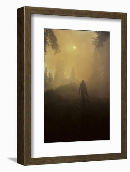 Forest Fire, Sequoia and Kings Canyon National Park, California, USA-Gerry Reynolds-Framed Photographic Print