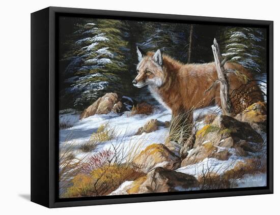 Forest Flame-Trevor V. Swanson-Framed Stretched Canvas