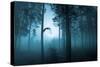 Forest Flight-Andreas Stridsberg-Stretched Canvas