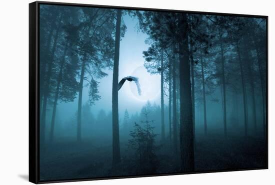 Forest Flight-Andreas Stridsberg-Framed Stretched Canvas