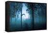 Forest Flight-Andreas Stridsberg-Framed Stretched Canvas