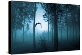 Forest Flight-Andreas Stridsberg-Stretched Canvas