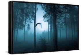 Forest Flight-Andreas Stridsberg-Framed Stretched Canvas