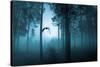 Forest Flight-Andreas Stridsberg-Stretched Canvas